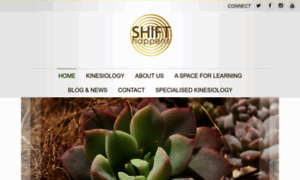 Kinesiology-shifthappens.co.za thumbnail