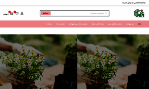 Kings-flower.com thumbnail