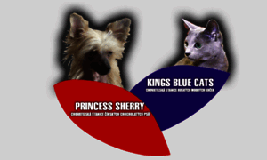 Kingsbluecats.eu thumbnail