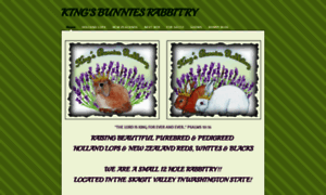 Kingsbunniesrabbitry.weebly.com thumbnail