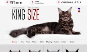 Kingsize-cat.ru thumbnail