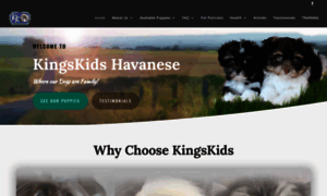 Kingskidshavanese.com thumbnail