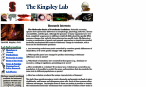 Kingsley.stanford.edu thumbnail