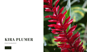 Kira-plumer-photography.squarespace.com thumbnail