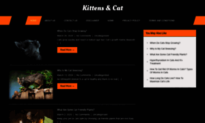 Kittensandcat.com thumbnail