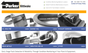 Kittiwake-americas.com thumbnail