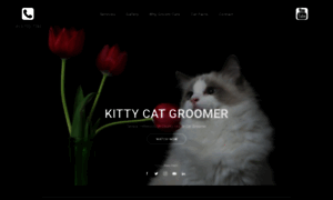 Kittycatgroomer.com thumbnail