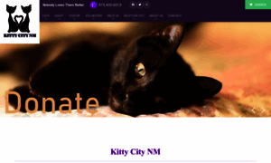 Kittycitynm.com thumbnail