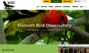Klamathbird.org thumbnail
