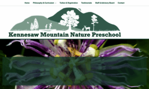 Kmnaturepreschool.com thumbnail