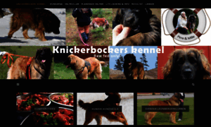 Knickerbockers.se thumbnail