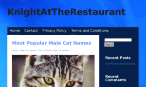 Knightattherestaurant.com thumbnail