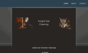 Knightowlcleaning.com thumbnail
