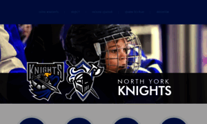 Knightshockey.org thumbnail