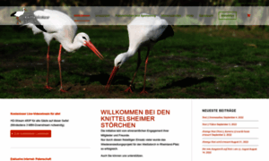Knittelsheim-storch.de thumbnail