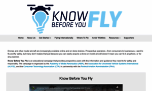 Knowbeforeyoufly.org thumbnail