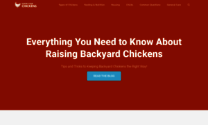 Knowyourchickens.com thumbnail