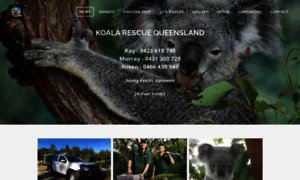 Koalarescueqld.org thumbnail