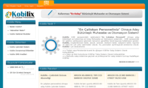 Kobilix.com thumbnail