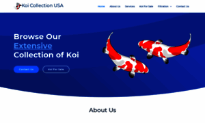 Koicollectionusa.com thumbnail