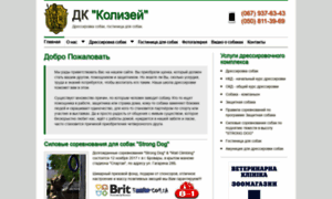 Kolizey.kiev.ua thumbnail