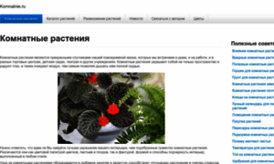 Komnatnie.ru thumbnail