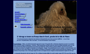 Komondor.be thumbnail