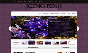 Kong-posh.com thumbnail
