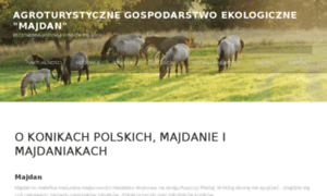 Konikipolskie-majdan.pl thumbnail