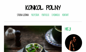 Konkolpolny.pl thumbnail