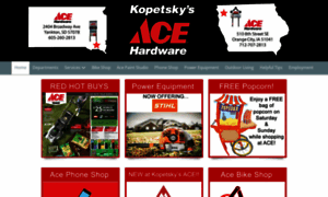 Kopetskysace.com thumbnail