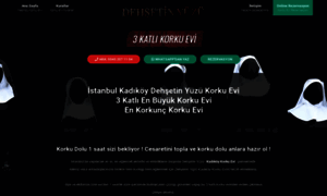 Korkuevikadikoy.com thumbnail