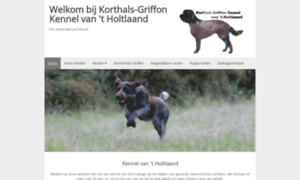 Korthals-griffon.nl thumbnail