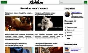 Koshek.ru thumbnail