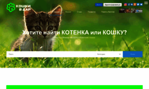 Koshkivdar.ru thumbnail