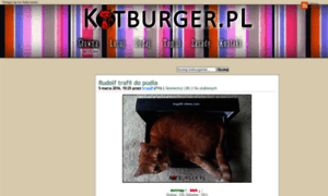 Kotburger.pl thumbnail