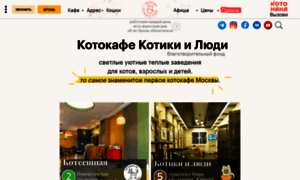 Kotocafe.ru thumbnail