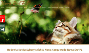 Koty-nowaera.pl thumbnail