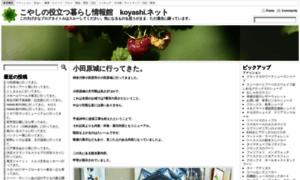 Koyashi.net thumbnail