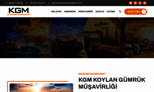 Koylangumrukleme.com.tr thumbnail