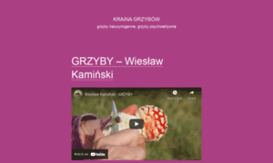 Krainagrzybow.pl thumbnail