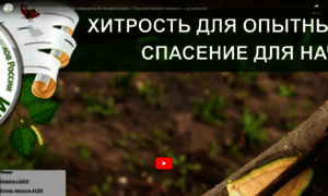 Krasbaks.ru thumbnail