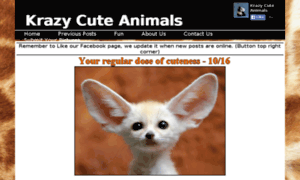 Krazycuteanimals.com thumbnail