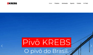 Krebs.com.br thumbnail