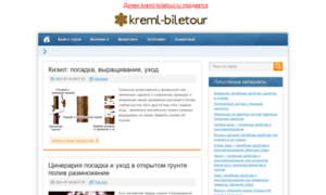 Kreml-biletour.ru thumbnail