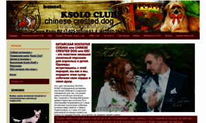 Ksolo.ru thumbnail
