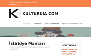 Kulturkiacom.wordpress.com thumbnail