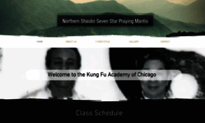 Kungfuacademyofchicago.com thumbnail