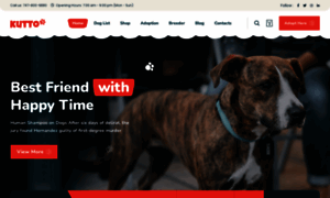 Kutto.netlify.app thumbnail
