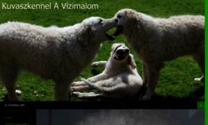 Kuvaszkennel.be thumbnail